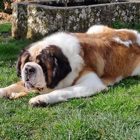 Farmház La Chiusetta Orvieto