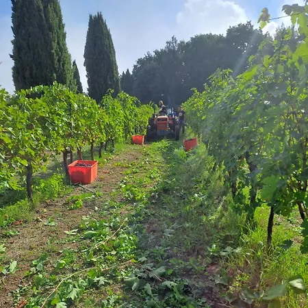 La Chiusetta Orvieto