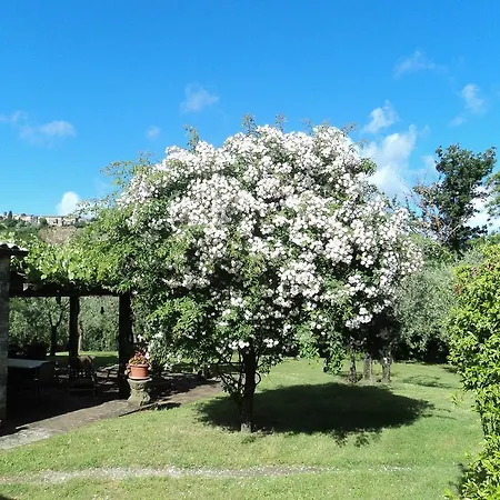 La Chiusetta * Orvieto