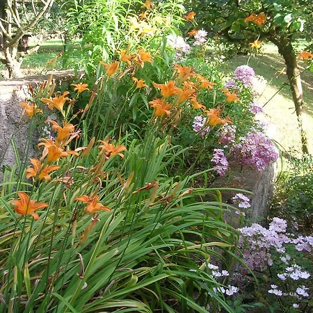 La Chiusetta Agroturismo