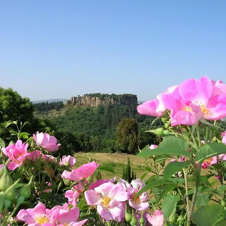 Lantgård La Chiusetta