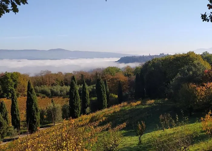La Chiusetta Orvieto