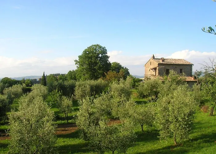 La Chiusetta Farm stay