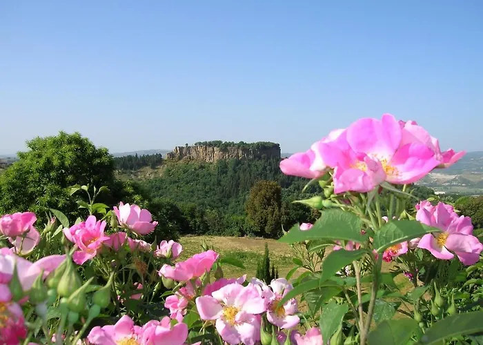 Farm stay La Chiusetta